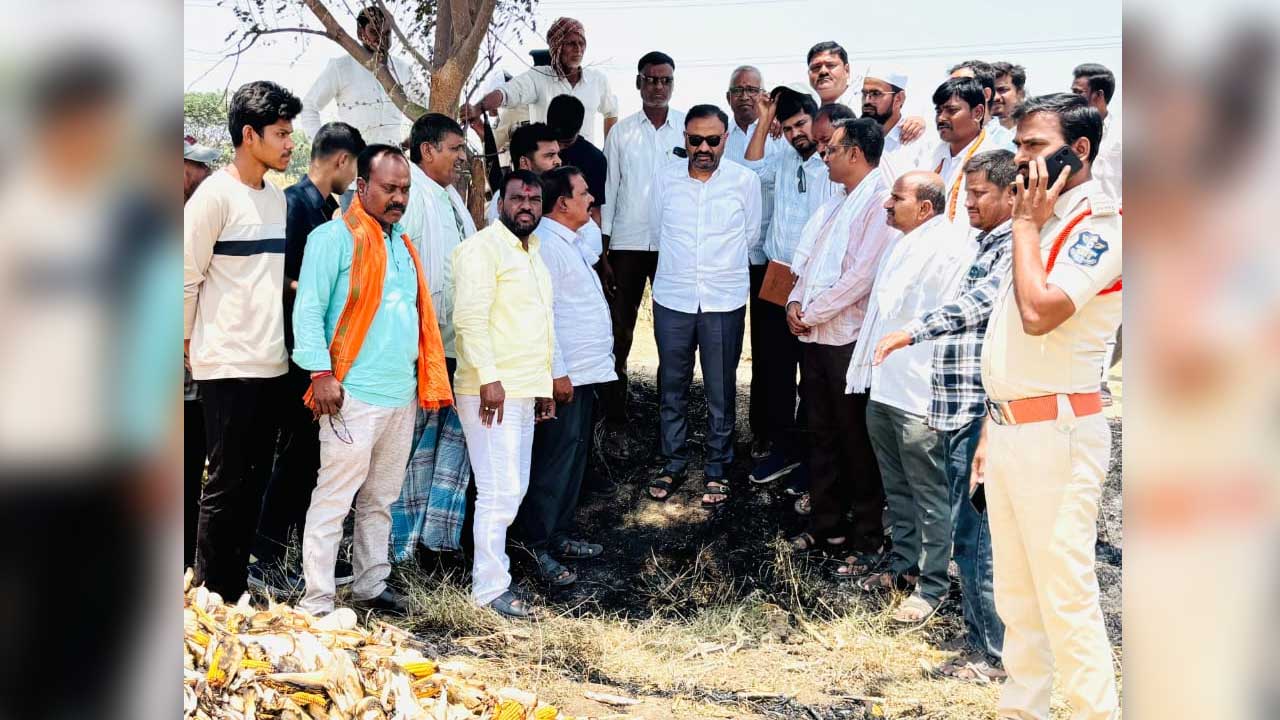 Maize Crop Fire