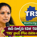 TRS party