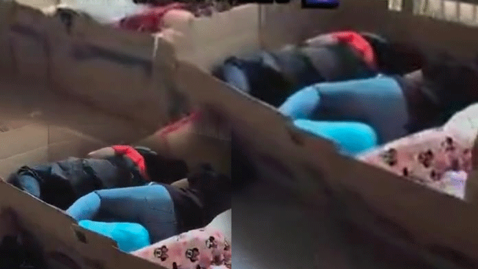 Untitled 1.gif catta