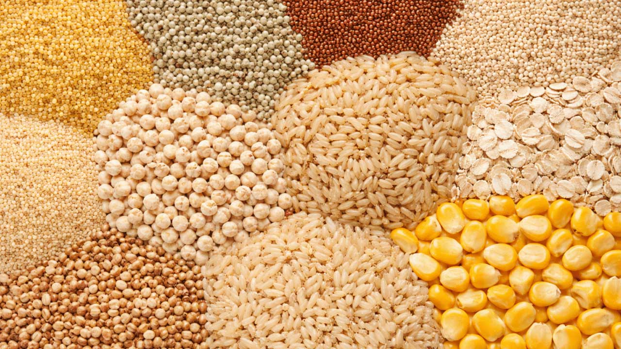 akshara today .jpggrain