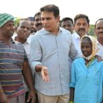 paddy procurement
