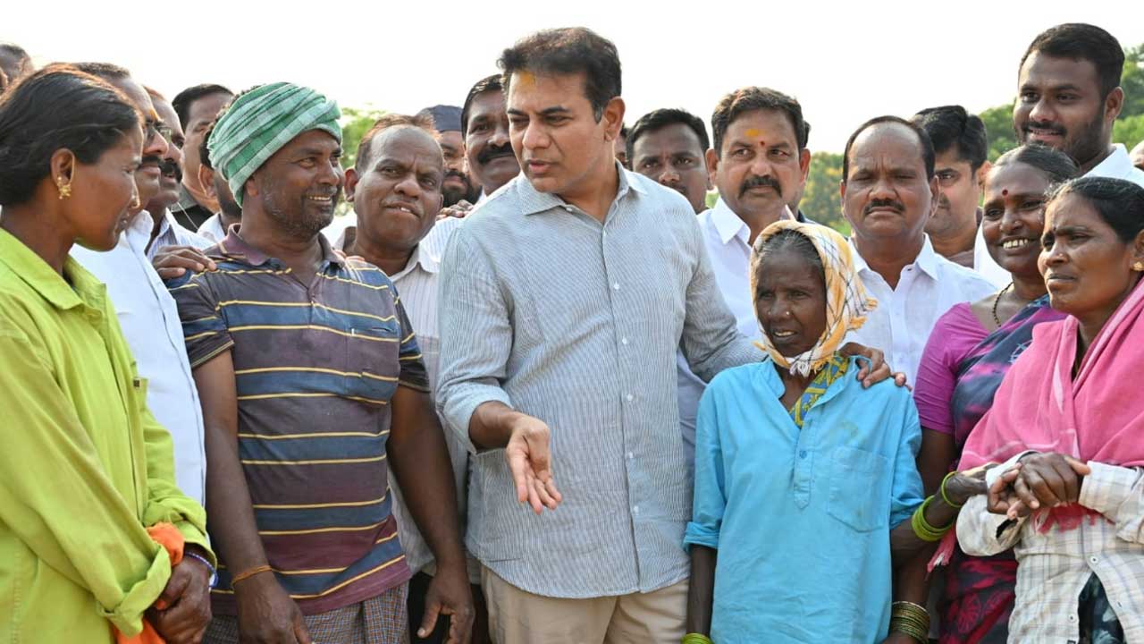 paddy procurement