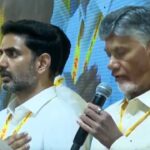 TDP Working President