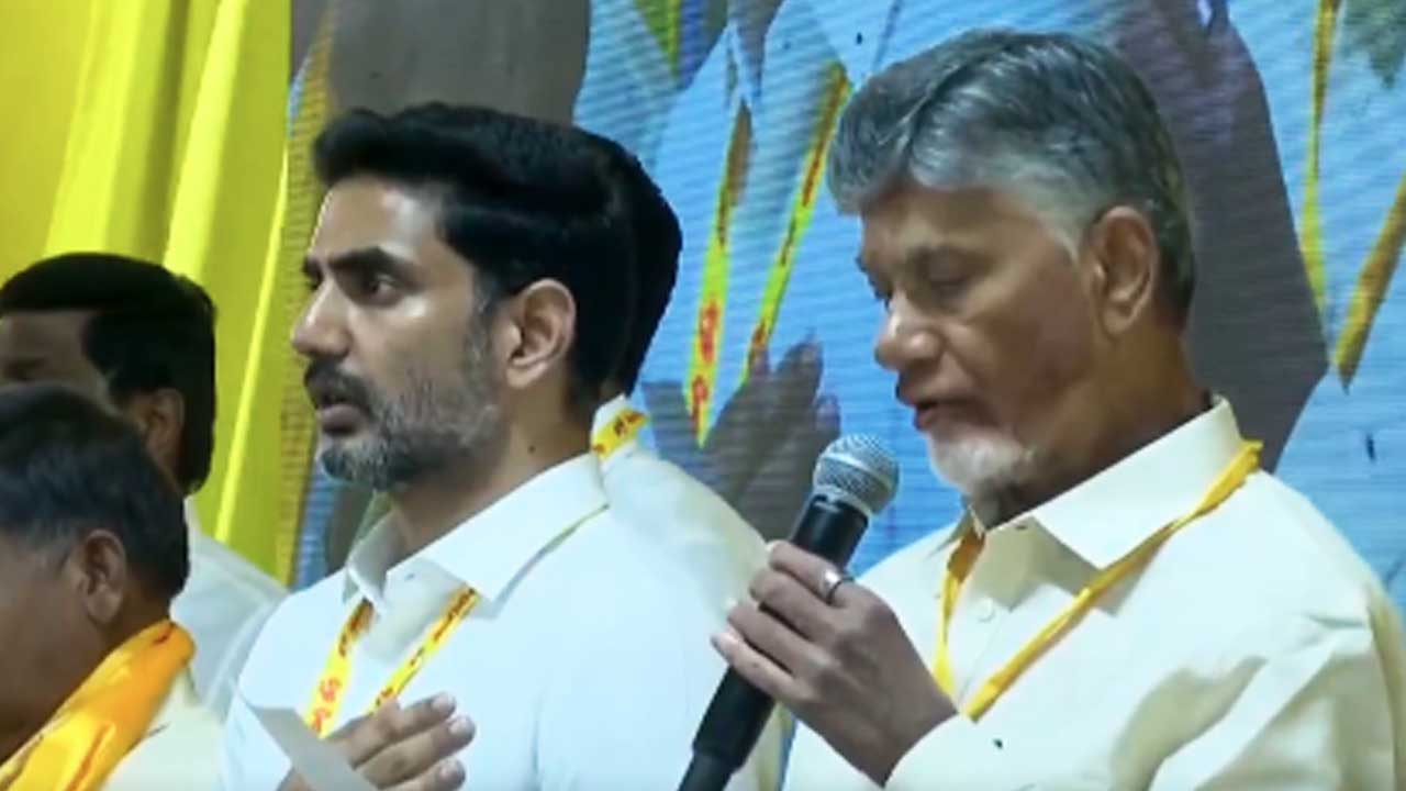 TDP Working President