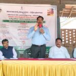 Sarpanch Role