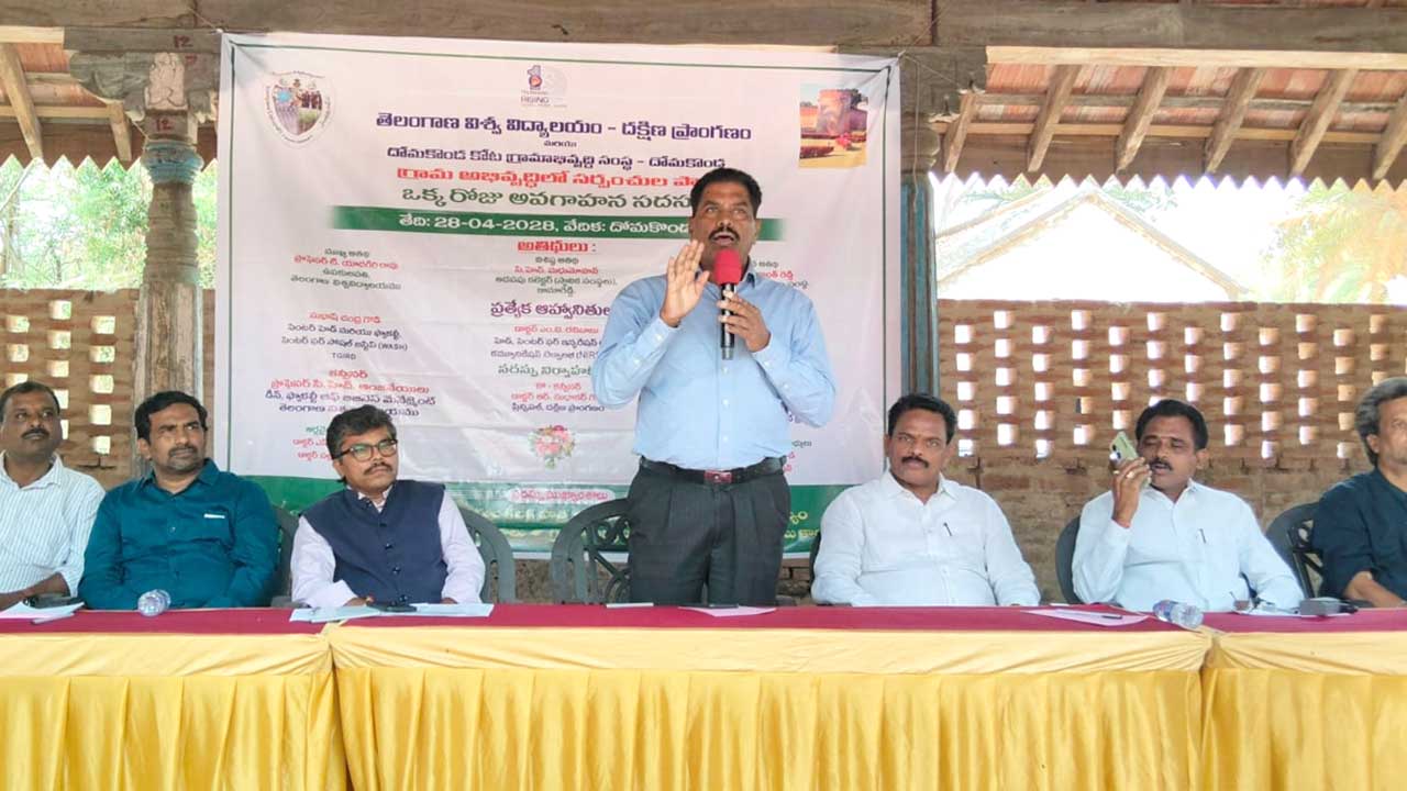 Sarpanch Role