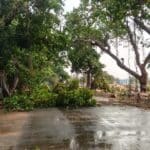 Yellareddy Heavy Rain |