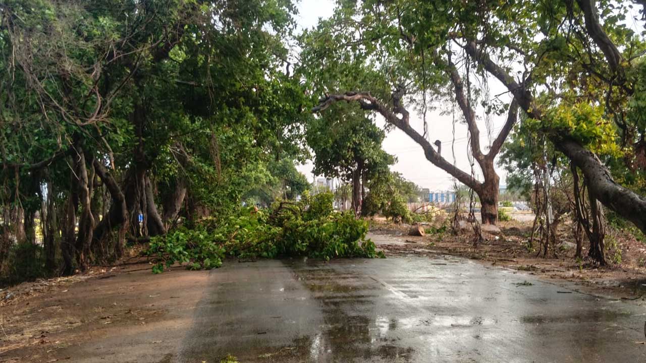 Yellareddy Heavy Rain |
