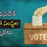 AP Local Body Elections