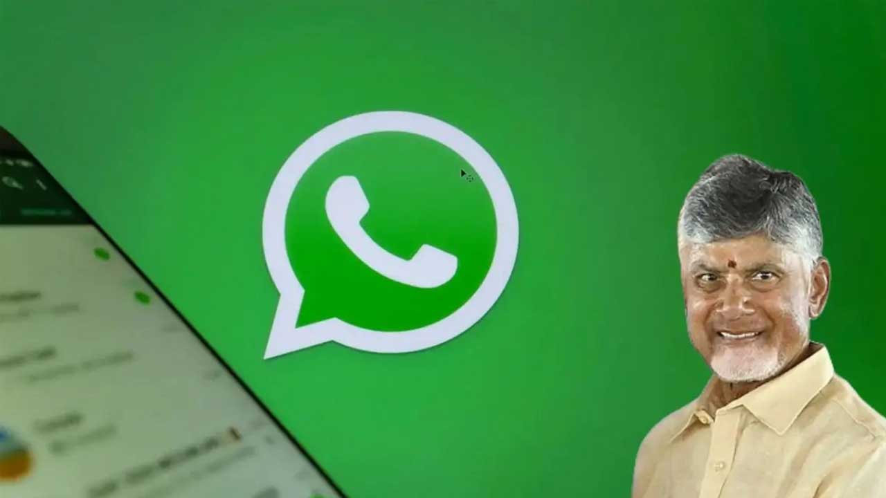 AP WhatsApp Services