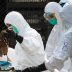 Bird Flu in Maharashtra
