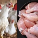 Chicken Price Hike