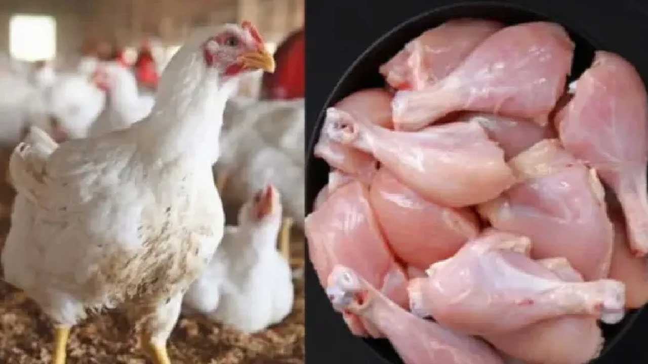 Chicken Price Hike