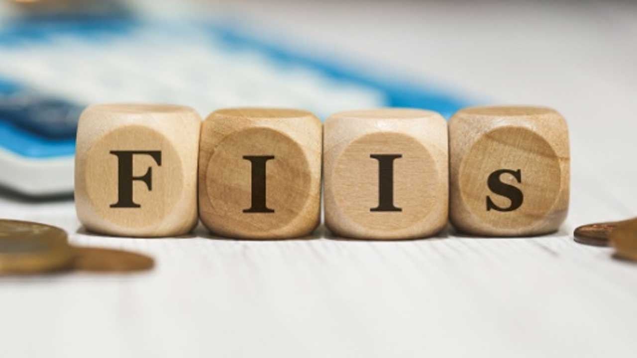 FII Investment Outflow
