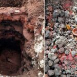 Hidden Treasure Excavation