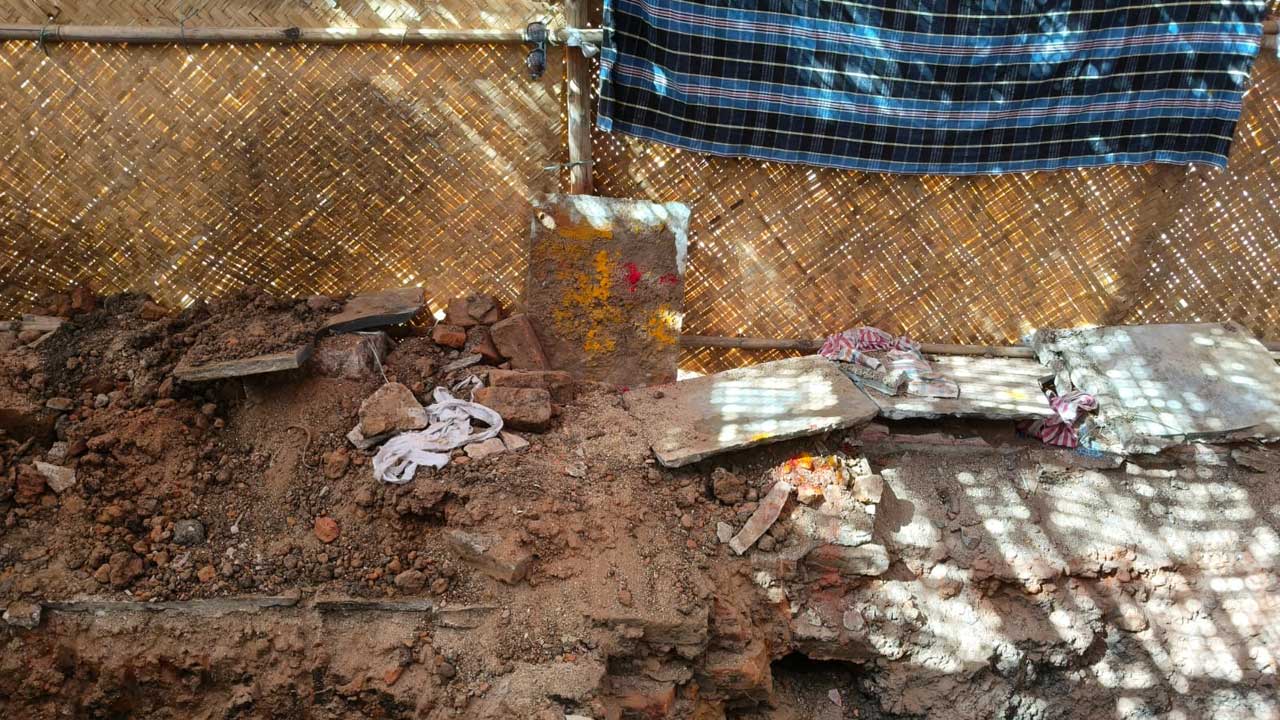 Hidden Treasure Excavation