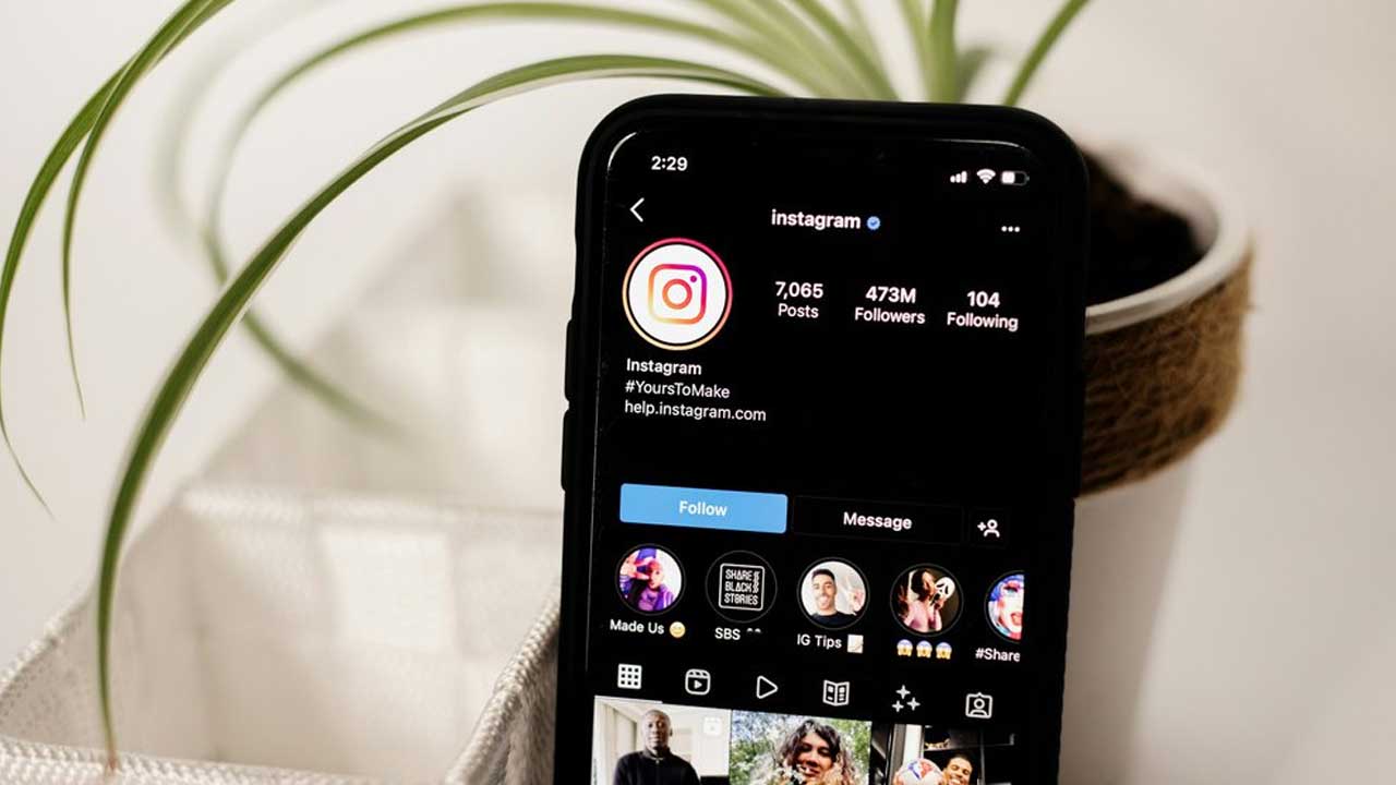 Instagram Followers Drop