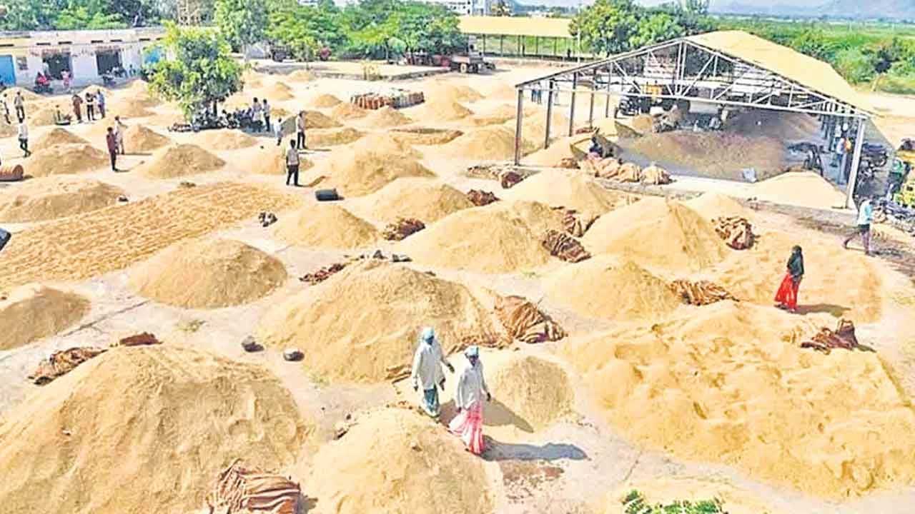 Paddy Farmers
