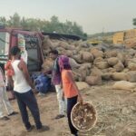 Paddy Lorry Overturn