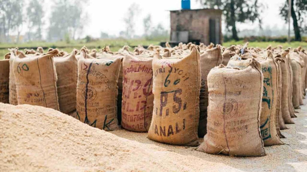Paddy Procurement 2