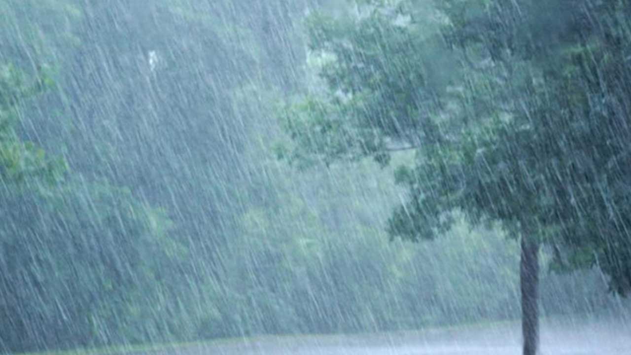 Rain Forecast