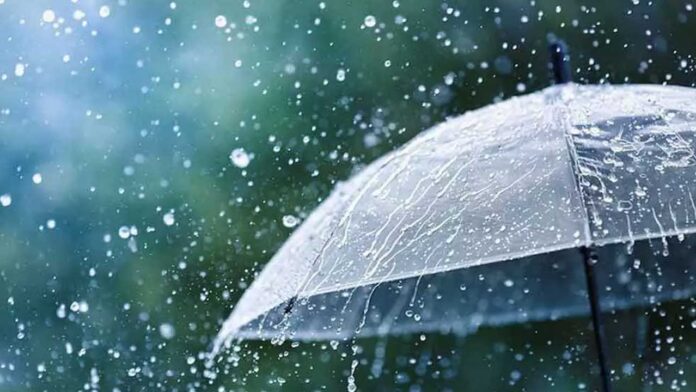 Rain Forecast