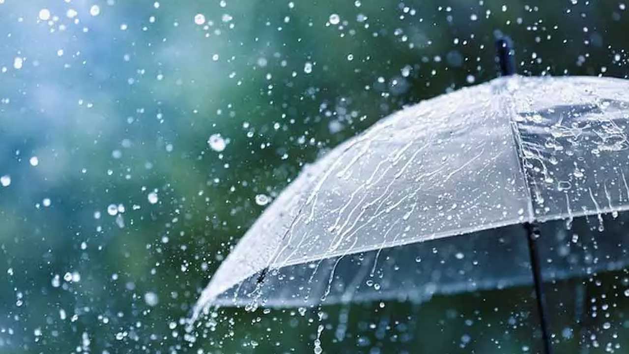 Rain Forecast