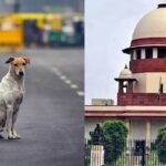 Supreme Court on Street Dogs