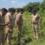 UP Encounters