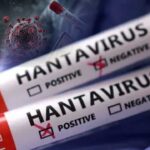 Hantavirus WHO Alert
