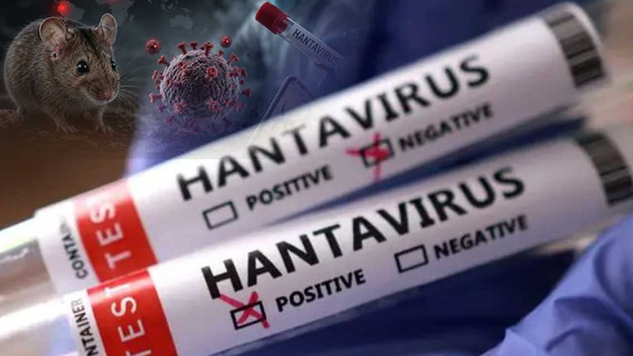 Hantavirus WHO Alert