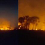 Padakal Palm Fire