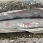 Delhi Airport Marijuana