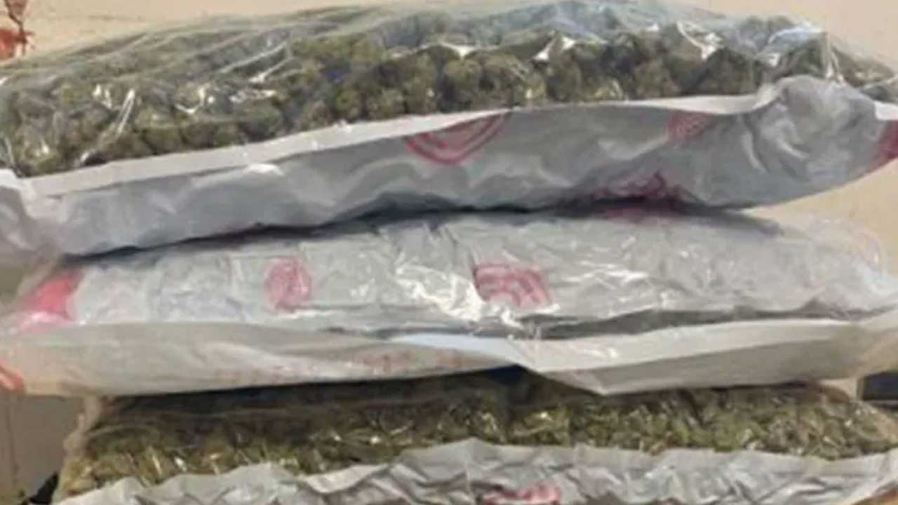 Delhi Airport Marijuana