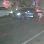 Haryana youth murder