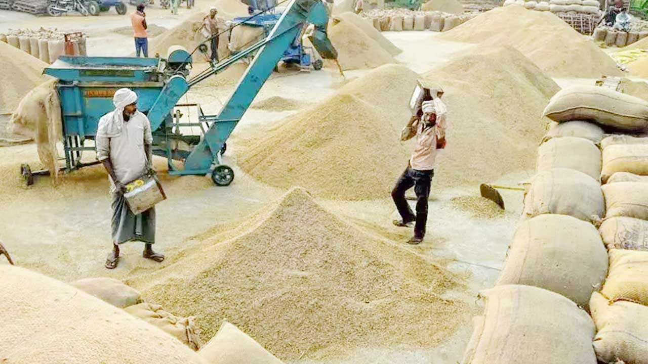 Rabi Paddy Procurement