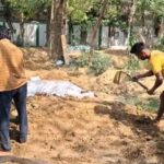 Mother Murder Case