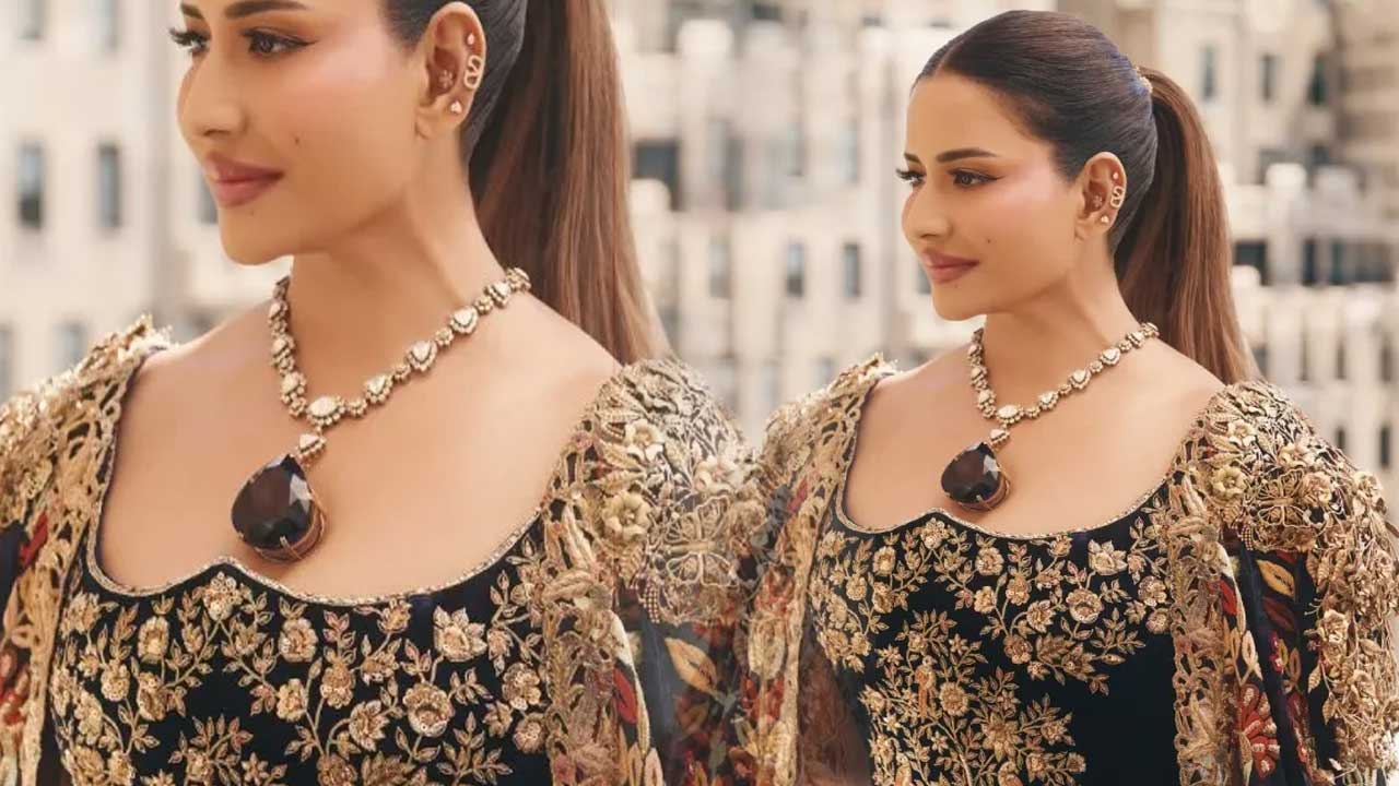 Sudha Reddy Met Gala