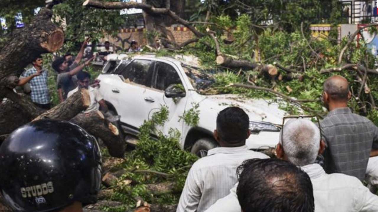 UP Storm Deaths