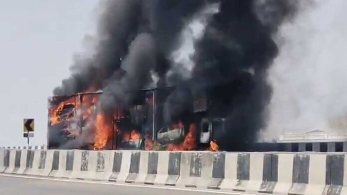 New Cars Burnt