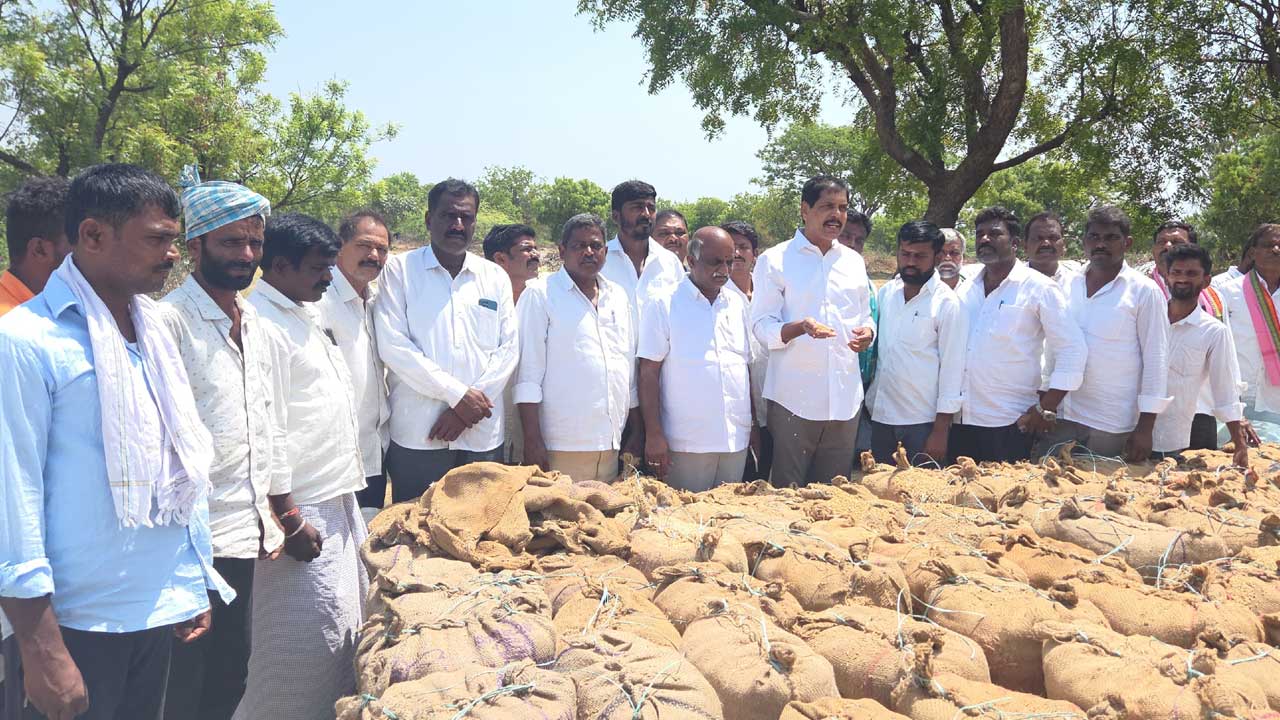 Wet Paddy Procurement |