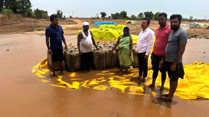 Paddy Procurement Crisis |