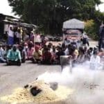 Grain procurement issues |