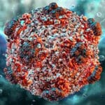 Hantavirus in India
