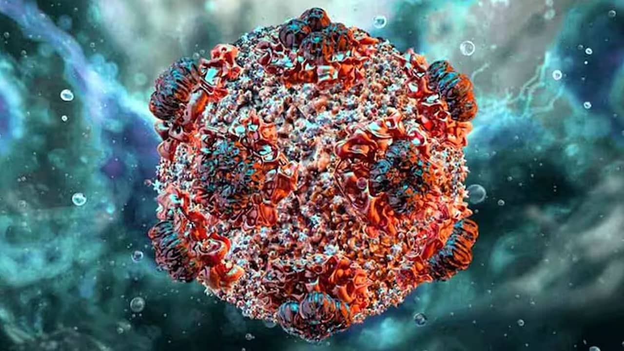 Hantavirus in India