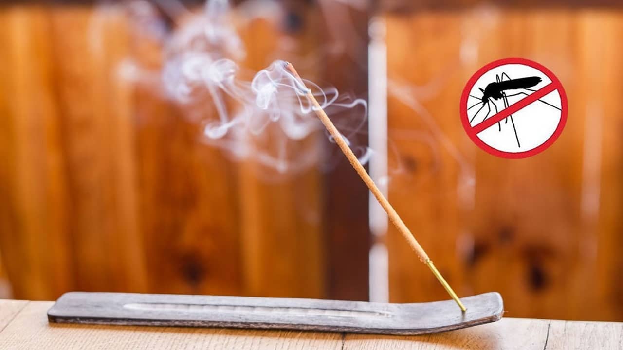 Mosquito Coil Health Risks