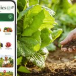 TG Organics App