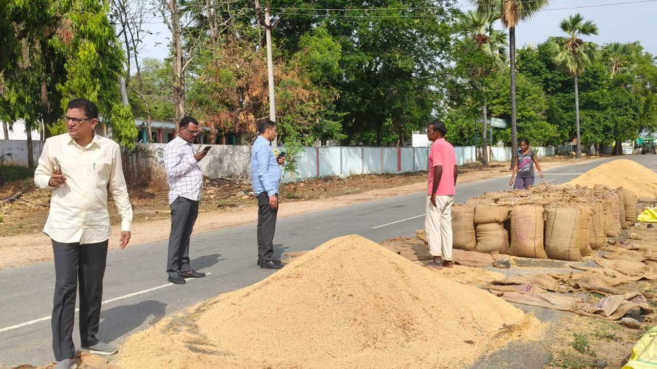 Paddy Transport |