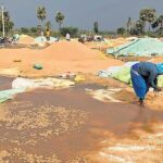 Heavy Rain Havoc