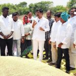 Grain Purchase Delay | ​